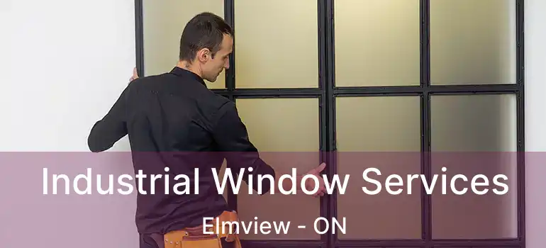  Industrial Window Services Elmview - ON