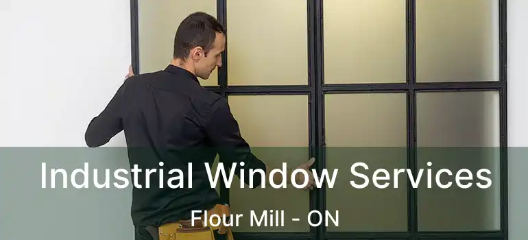  Industrial Window Services Flour Mill - ON