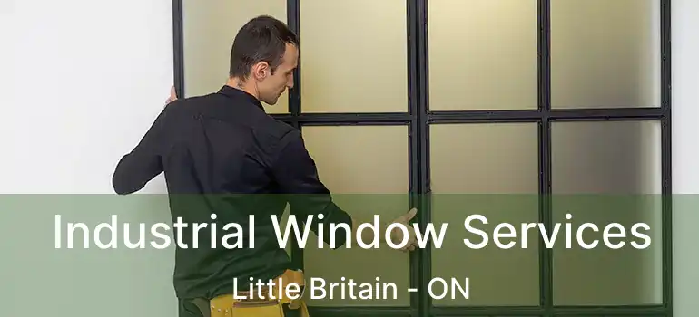  Industrial Window Services Little Britain - ON