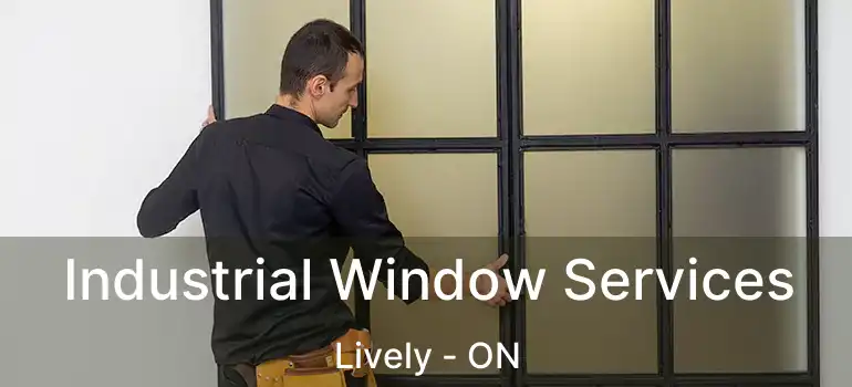  Industrial Window Services Lively - ON