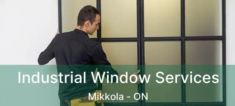  Industrial Window Services Mikkola - ON