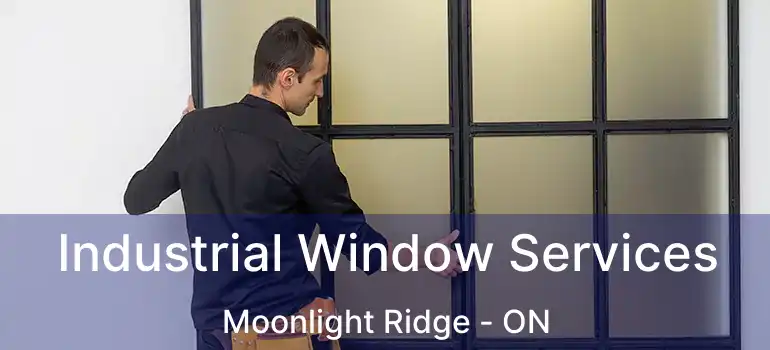  Industrial Window Services Moonlight Ridge - ON