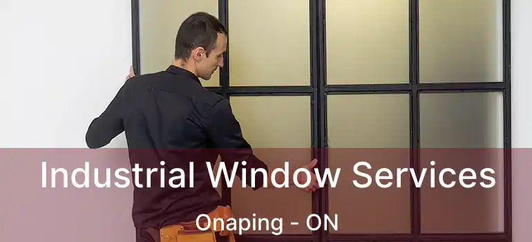  Industrial Window Services Onaping - ON