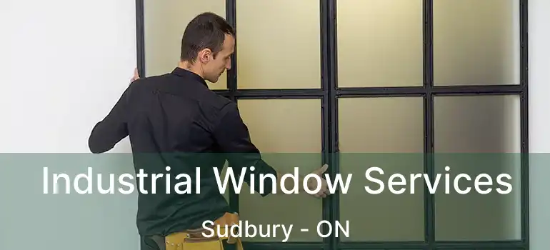 Industrial Window Services Sudbury - ON