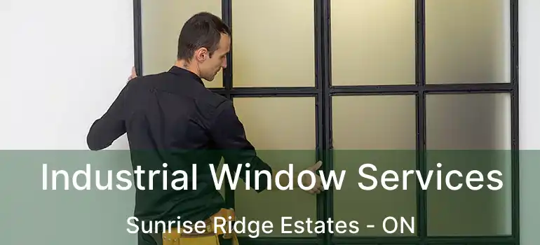  Industrial Window Services Sunrise Ridge Estates - ON