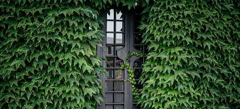 Garden Gate Repair in Sudbury, ON