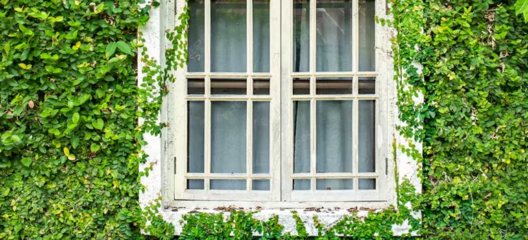 arden Window Repair Near Me in Sudbury, ON