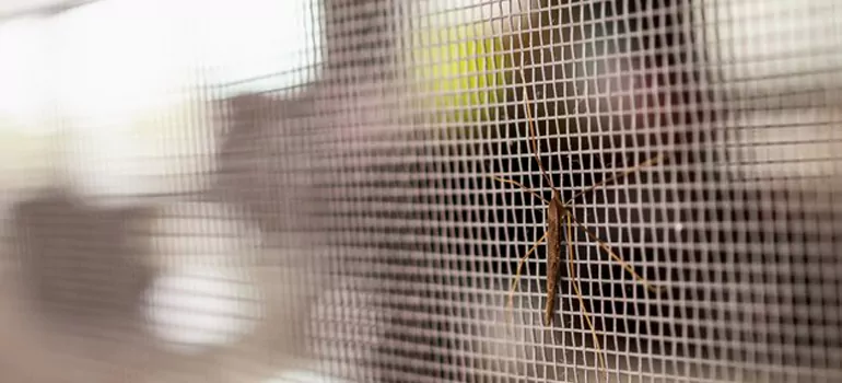 Repair Mosquito Mesh For Windows in Sudbury, Ontario