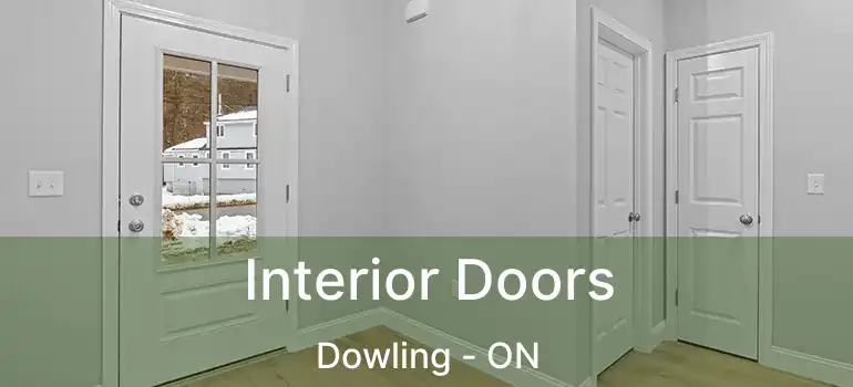  Interior Doors Dowling - ON