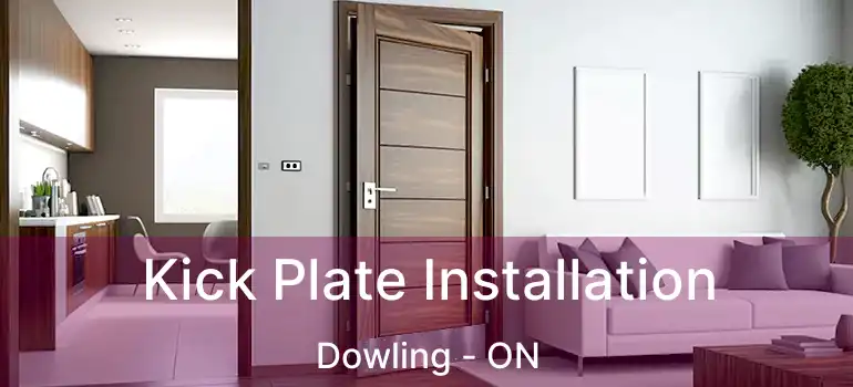 Kick Plate Installation Dowling - ON