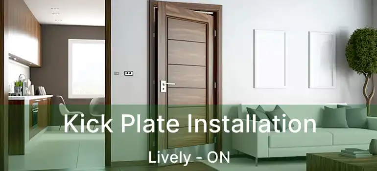  Kick Plate Installation Lively - ON