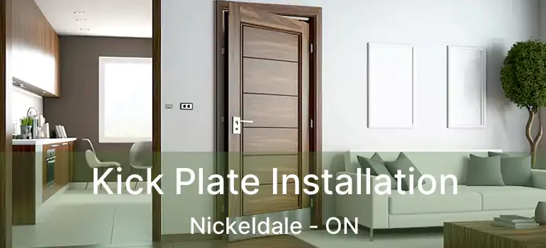  Kick Plate Installation Nickeldale - ON
