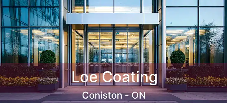  Loe Coating Coniston - ON