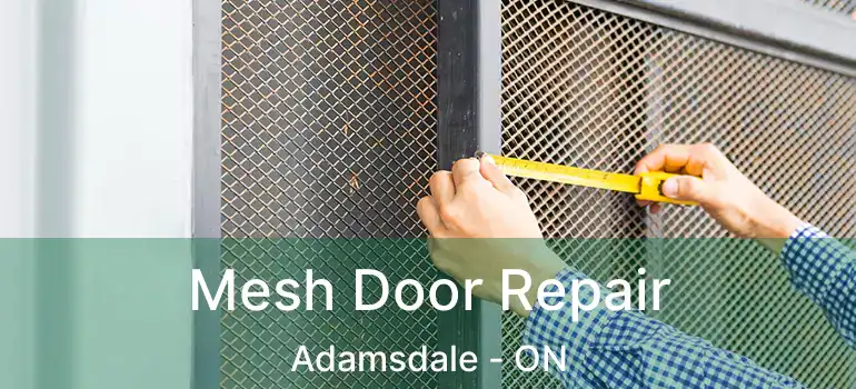  Mesh Door Repair Adamsdale - ON