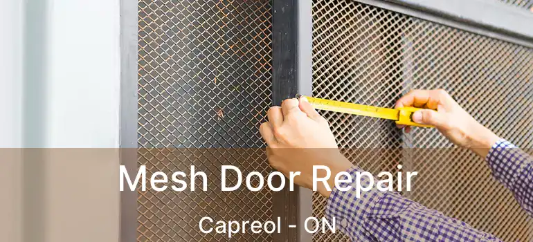  Mesh Door Repair Capreol - ON