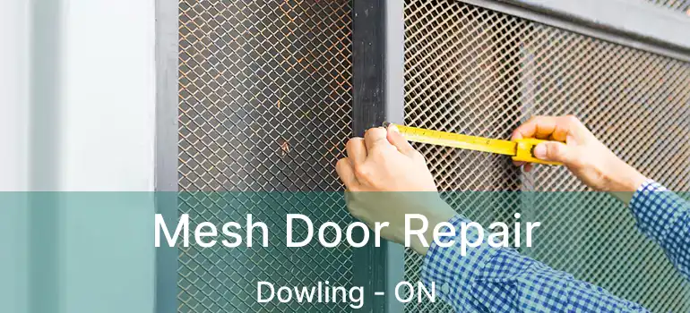  Mesh Door Repair Dowling - ON