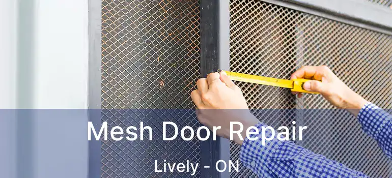  Mesh Door Repair Lively - ON