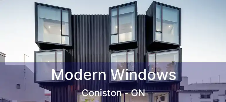 Modern Windows Coniston - ON