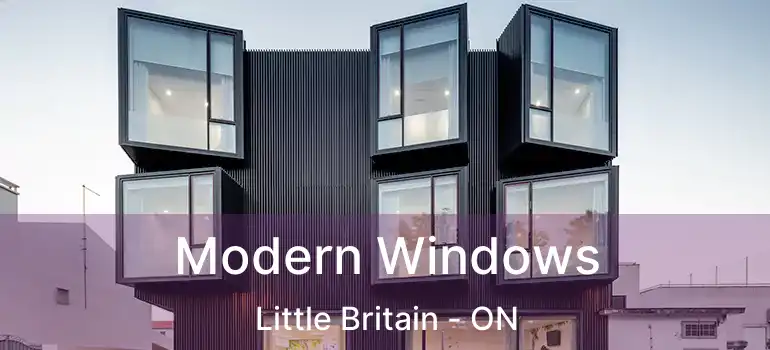  Modern Windows Little Britain - ON