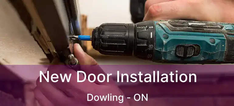  New Door Installation Dowling - ON
