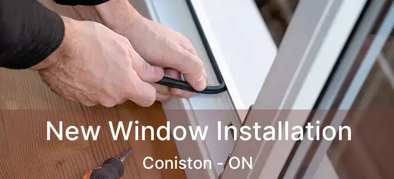  New Window Installation Coniston - ON