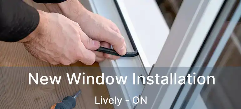  New Window Installation Lively - ON
