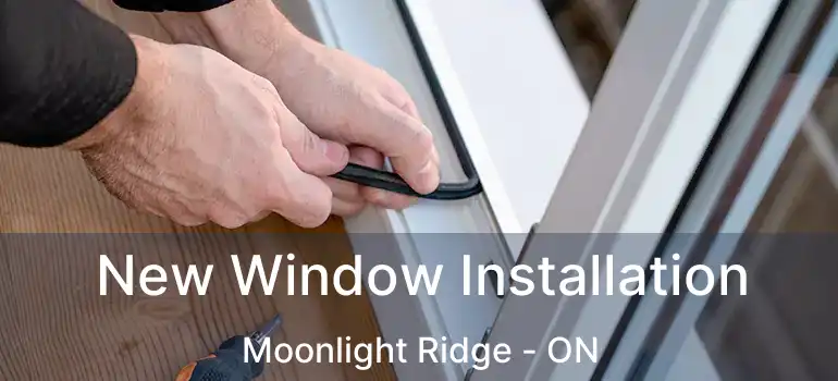  New Window Installation Moonlight Ridge - ON
