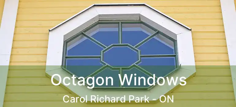  Octagon Windows Carol Richard Park - ON