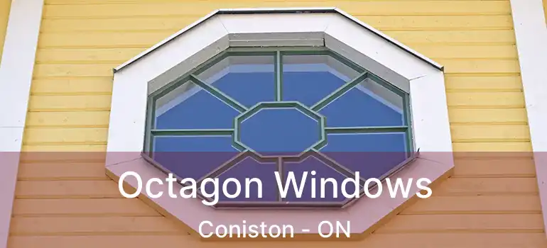  Octagon Windows Coniston - ON