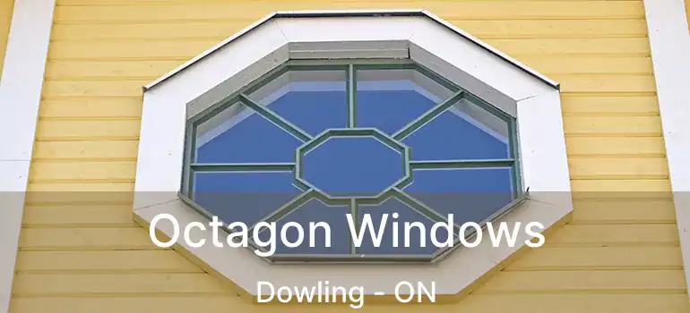  Octagon Windows Dowling - ON