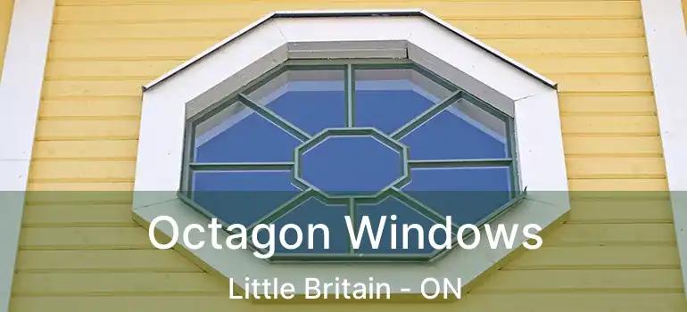  Octagon Windows Little Britain - ON