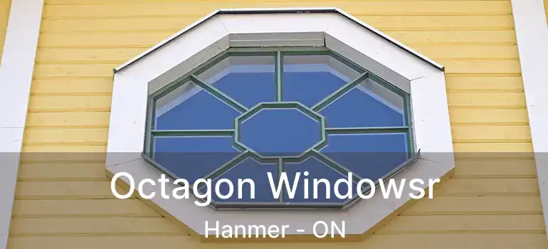  Octagon Windowsr Hanmer - ON