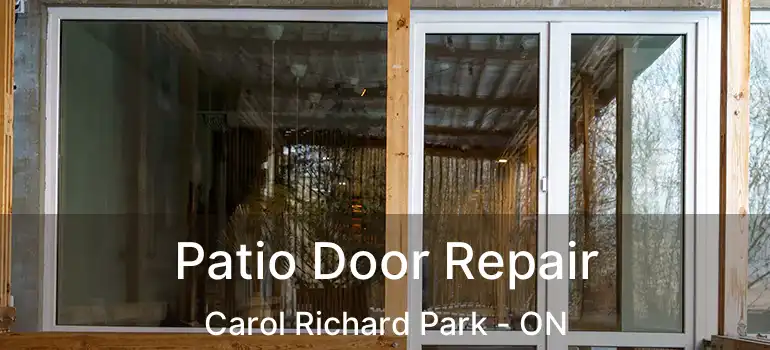  Patio Door Repair Carol Richard Park - ON