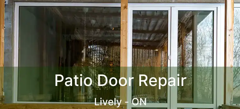  Patio Door Repair Lively - ON