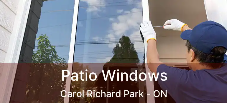  Patio Windows Carol Richard Park - ON