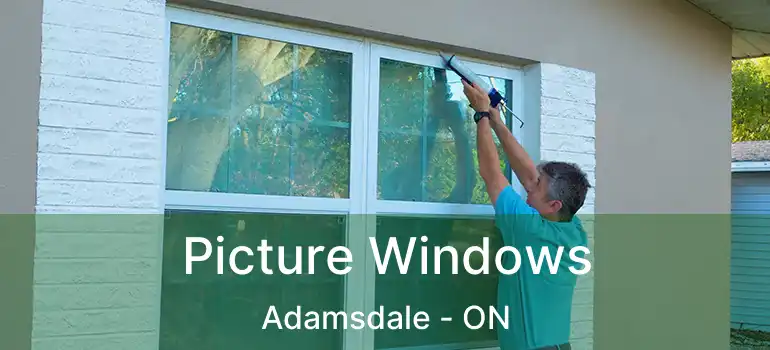  Picture Windows Adamsdale - ON
