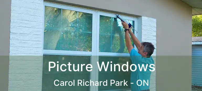  Picture Windows Carol Richard Park - ON