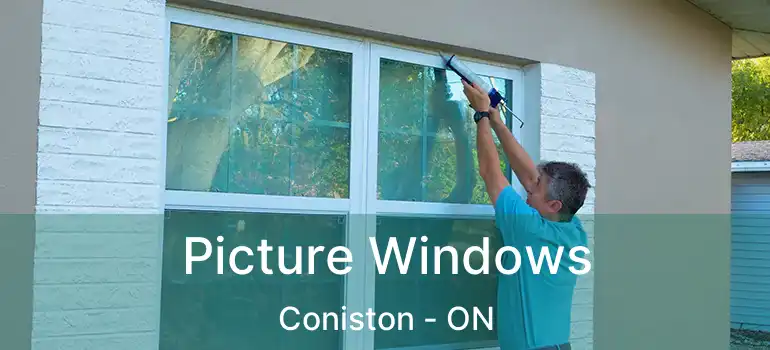  Picture Windows Coniston - ON