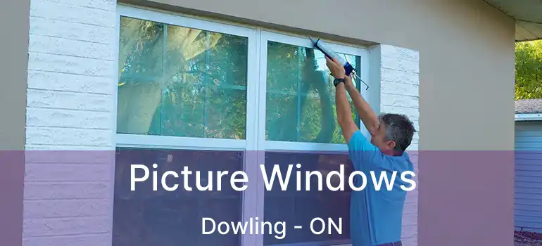  Picture Windows Dowling - ON