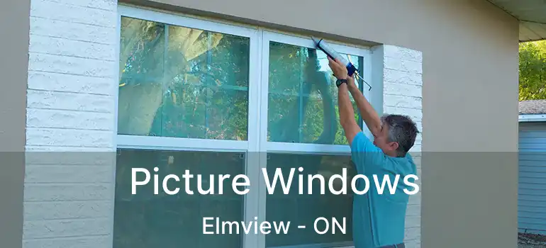  Picture Windows Elmview - ON