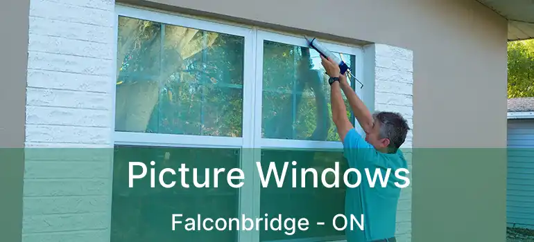 Picture Windows Falconbridge - ON