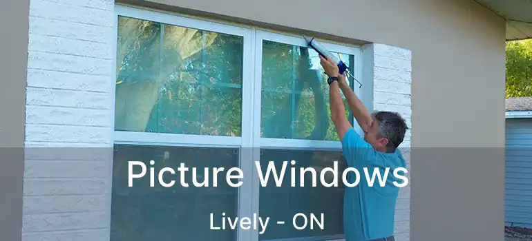  Picture Windows Lively - ON
