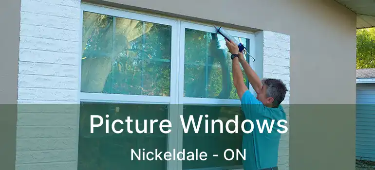  Picture Windows Nickeldale - ON