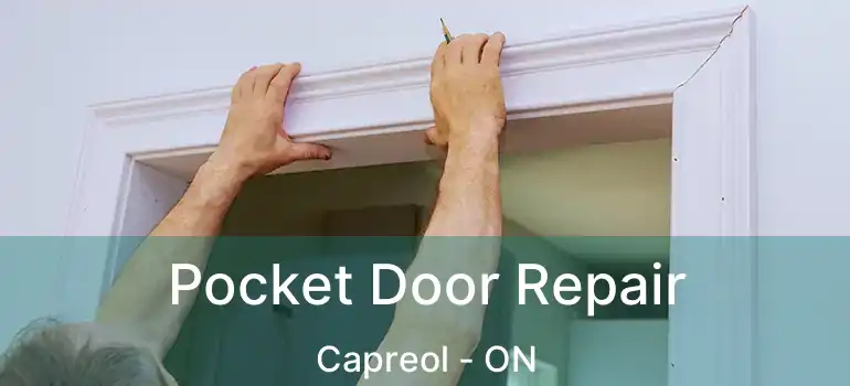  Pocket Door Repair Capreol - ON