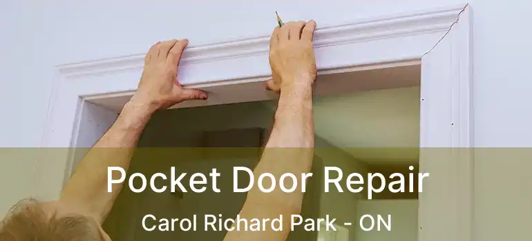  Pocket Door Repair Carol Richard Park - ON