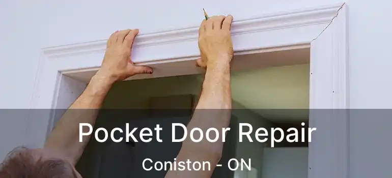  Pocket Door Repair Coniston - ON