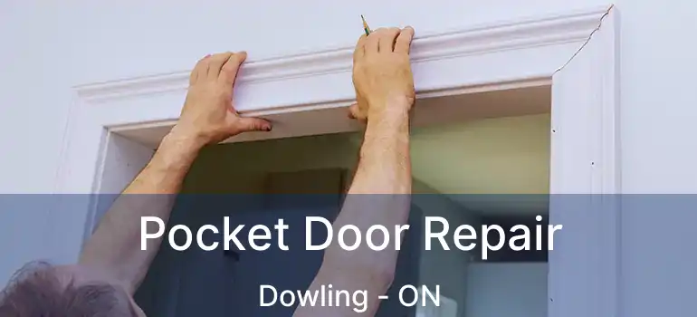  Pocket Door Repair Dowling - ON