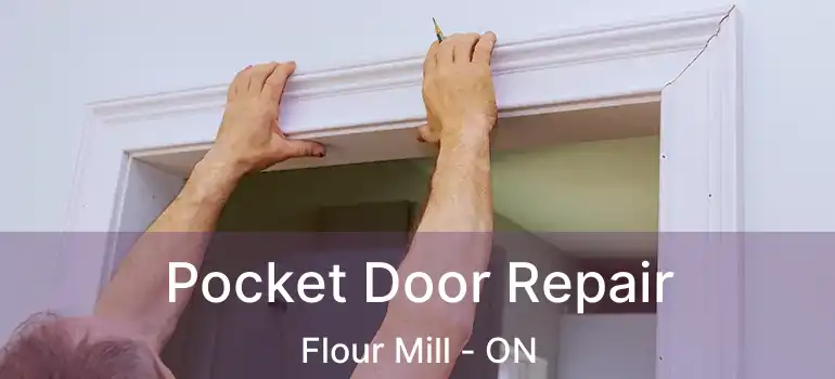  Pocket Door Repair Flour Mill - ON