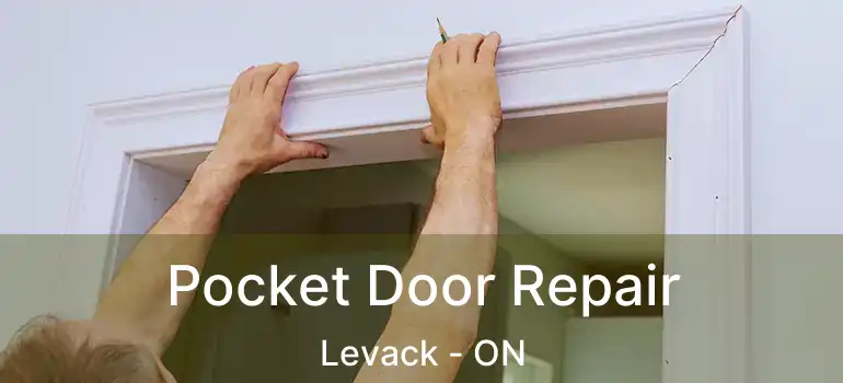 Pocket Door Repair Levack - ON