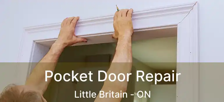  Pocket Door Repair Little Britain - ON